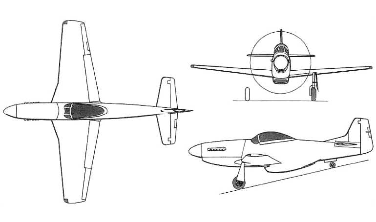 FIGHTER ESCORT WINGS P-51 FE51 3D view