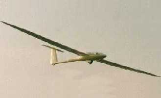 B13 image