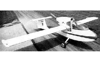 BIRD image