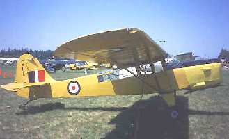 D6 image
