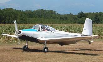 P19 image