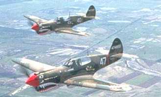 P40 image