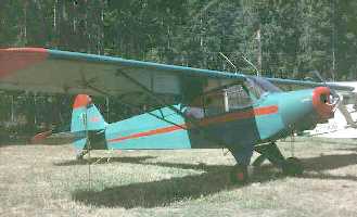 PA11 image