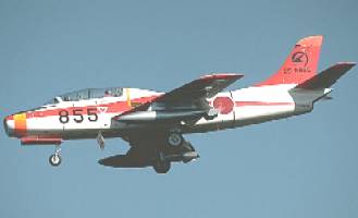 T1 image