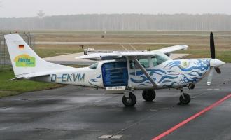 T206 image