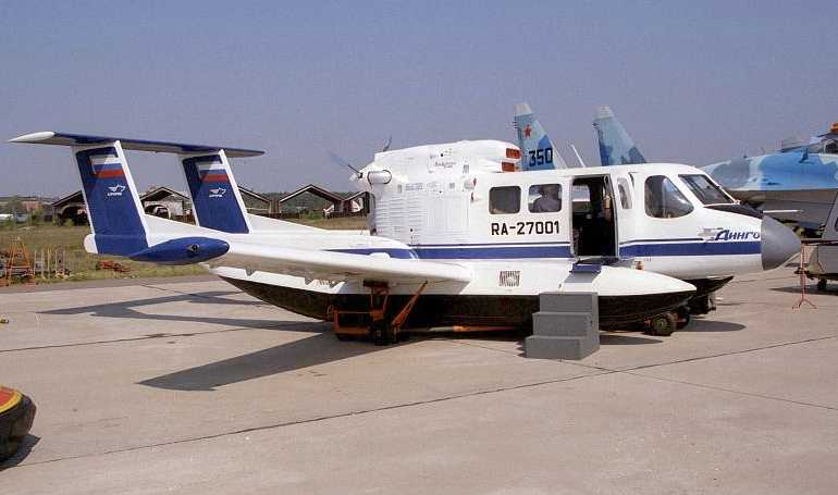 AERORIC Dingo DNGO aircraft photograph
