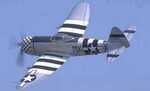 P47 thumb image
